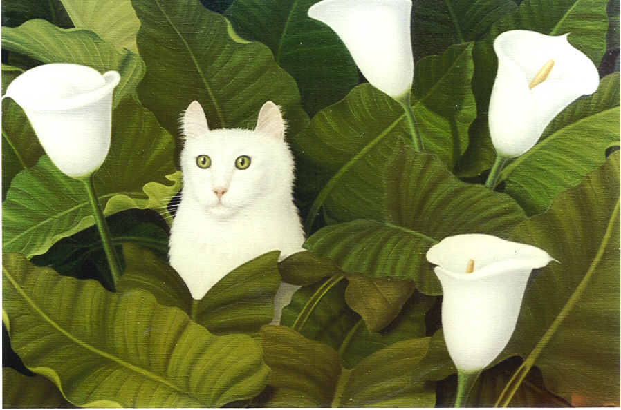 Chat dans Arums 65.50